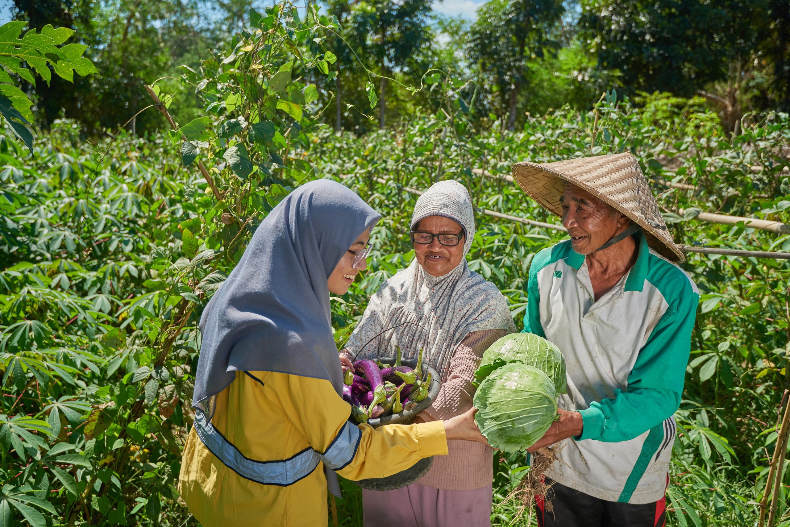 Program Pertanian Organik PT STM Tingkatkan Hasil Panen Petani Lokal